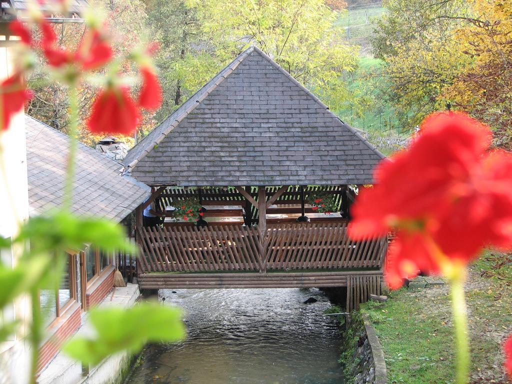 Guesthouse Zorko Gostilna Domen Šmarješke Toplice Esterno foto