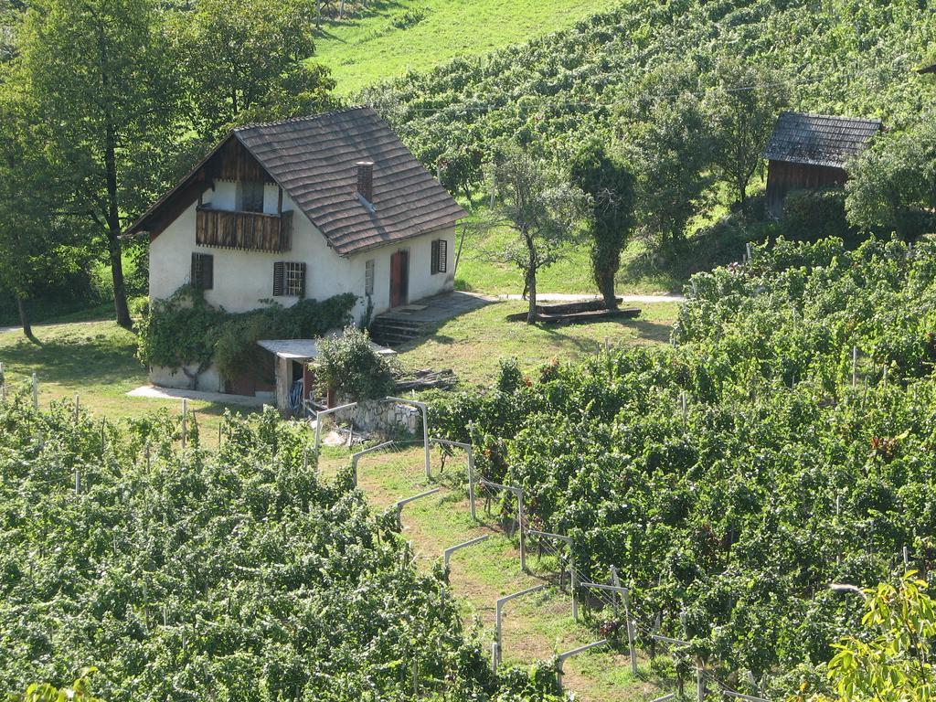 Guesthouse Zorko Gostilna Domen Šmarješke Toplice Esterno foto