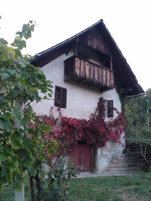 Guesthouse Zorko Gostilna Domen Šmarješke Toplice Esterno foto