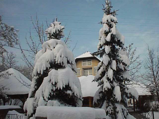 Guesthouse Zorko Gostilna Domen Šmarješke Toplice Esterno foto