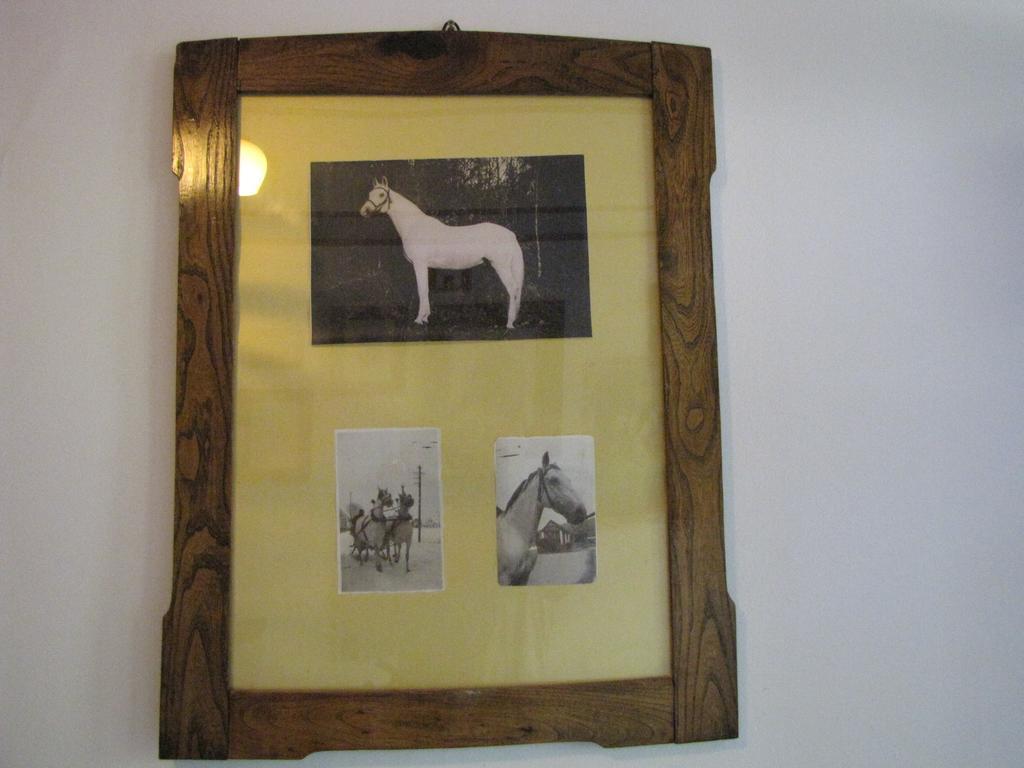 Guesthouse Zorko Gostilna Domen Šmarješke Toplice Esterno foto