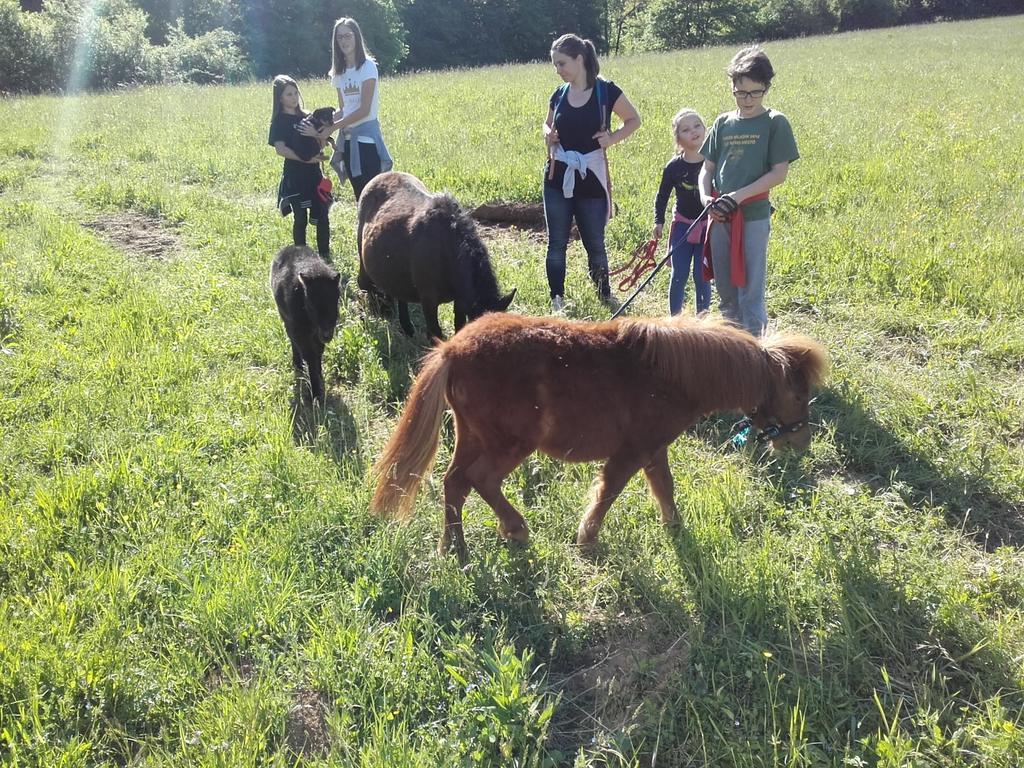 Guesthouse Zorko Gostilna Domen Šmarješke Toplice Esterno foto